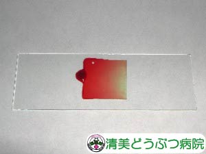 スライドグラス