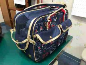 布キャリーバッグ