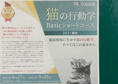 猫の行動学