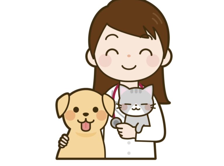 Kiyomi様確認ページ 気が付い